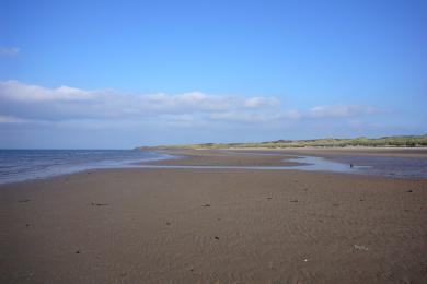 Sandee Aberlady Bay Beach