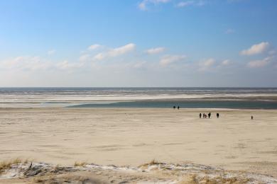 Sandee Blavand Beach