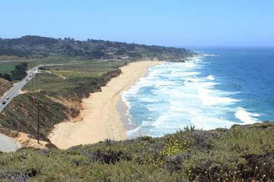 Sandee - Gray Whale Cove State Beach