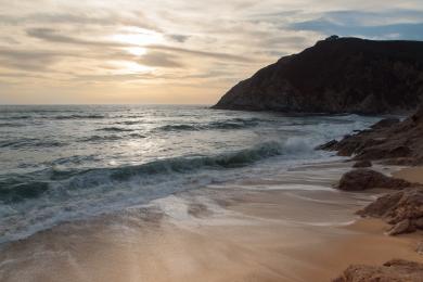 Sandee - Gray Whale Cove State Beach