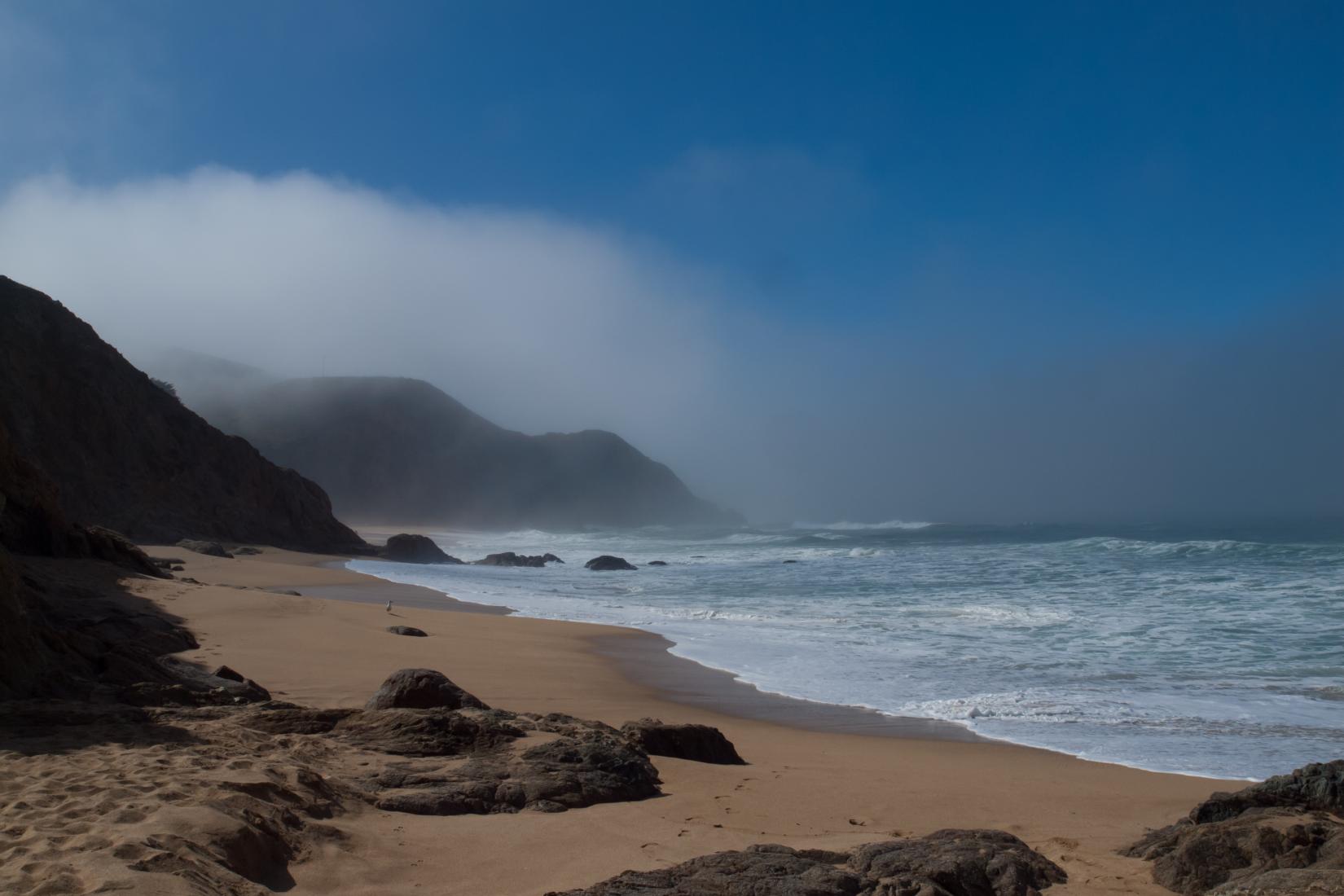 Sandee - Gray Whale Cove State Beach