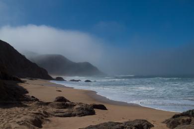 Sandee - Gray Whale Cove State Beach