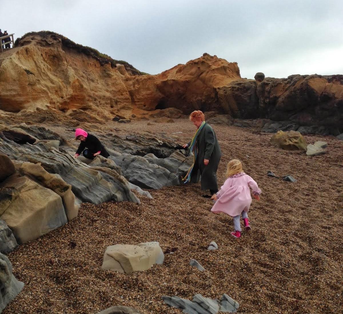 Sandee - Bean Hollow State Beach