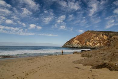 Sandee - Gray Whale Cove State Beach