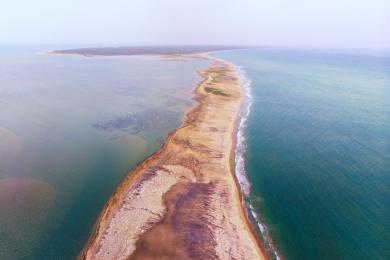 Sandee Vankalai Beach