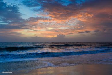 Sandee - Alleppey Beach