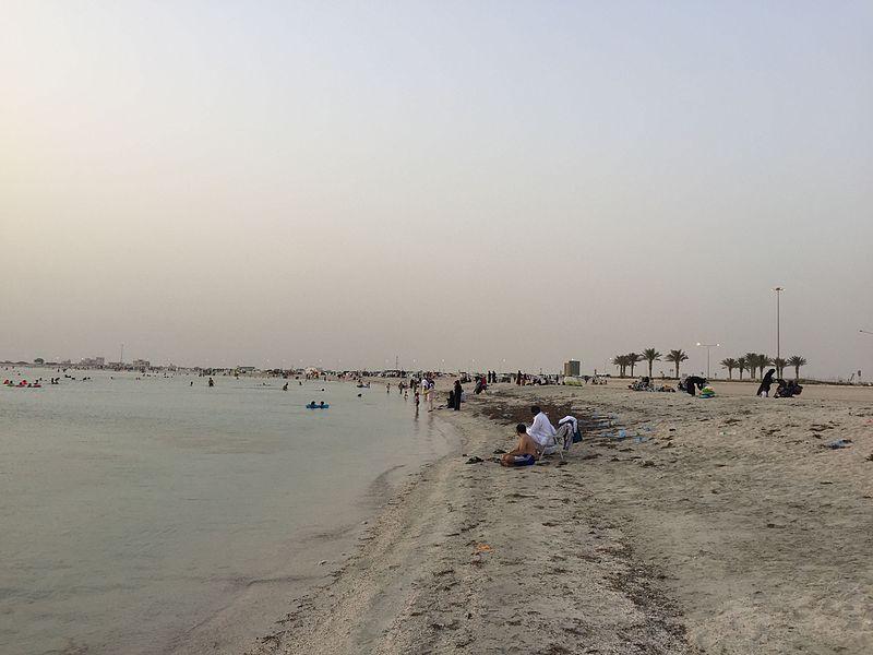 Sandee Dukhan Beach Photo