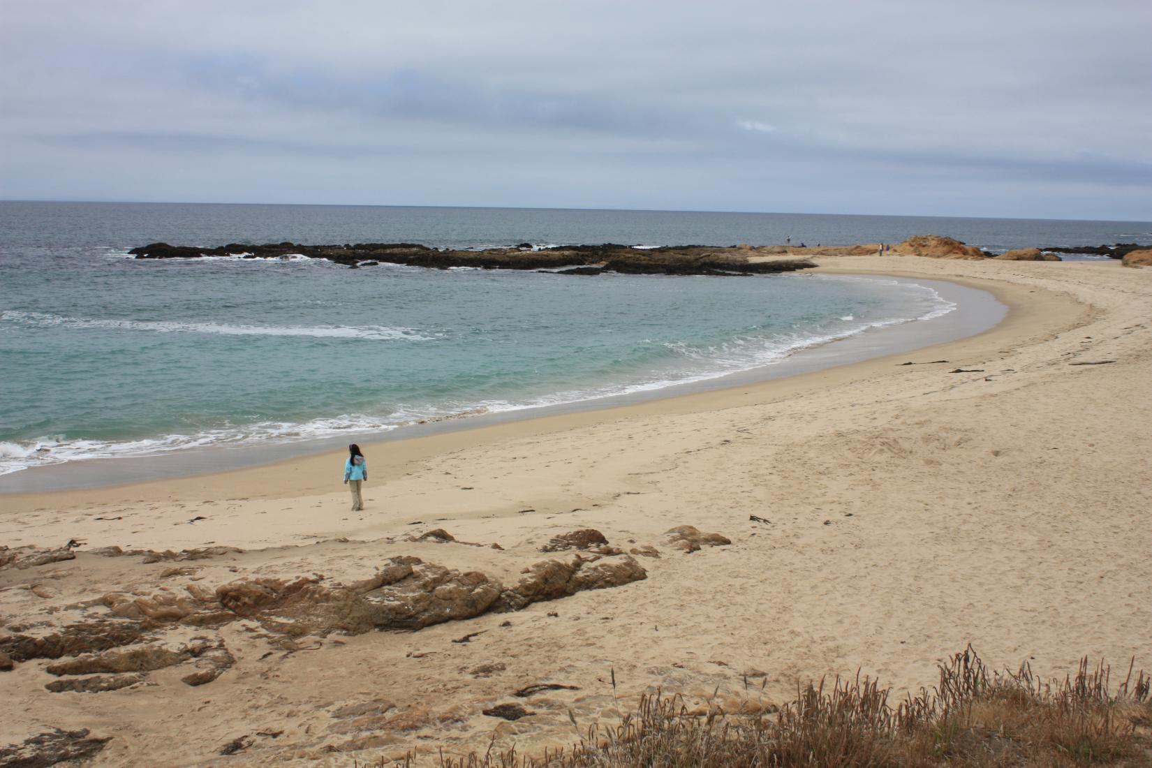 Sandee - Bean Hollow State Beach