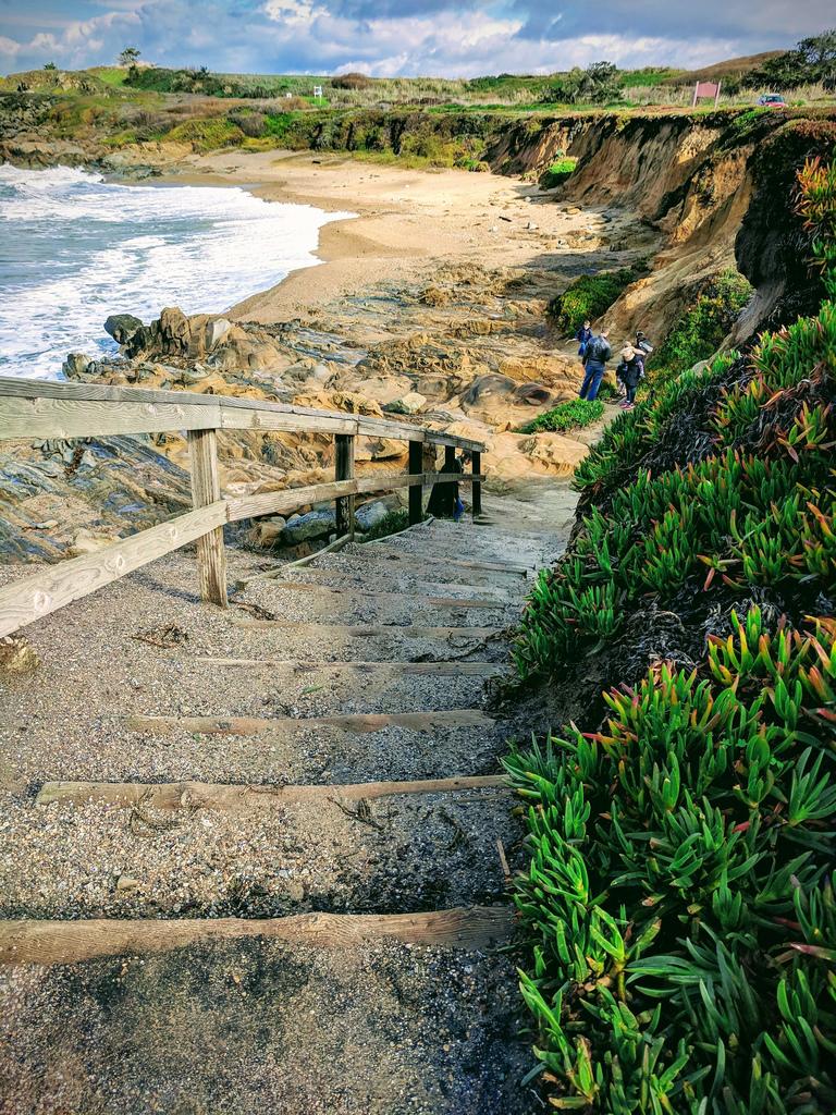 Sandee - Bean Hollow State Beach