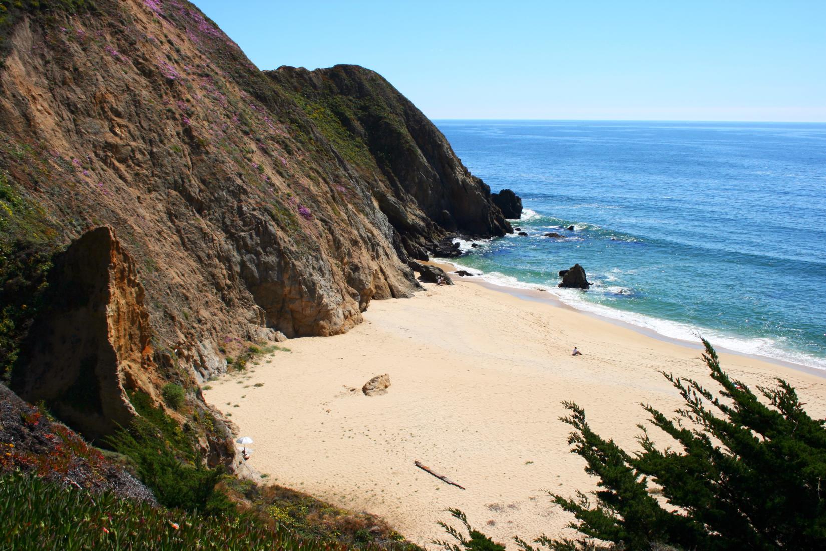 Sandee - Gray Whale Cove State Beach