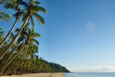Sandee Coconut Beach Resort Photo