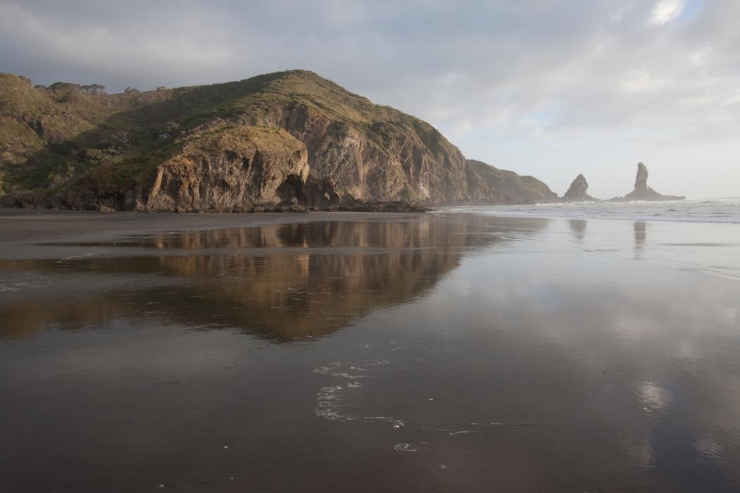 Sandee Anawhata Beach Photo