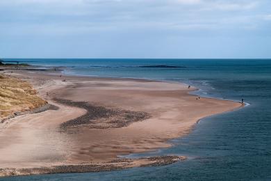 Sandee - Alnmouth Beach