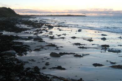 Sandee - Alnmouth Beach