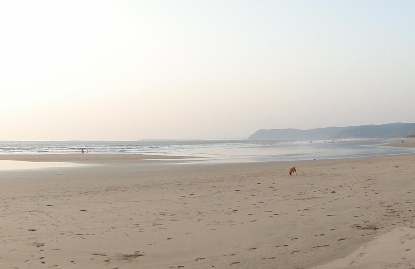 Sandee - Guhagar Beach