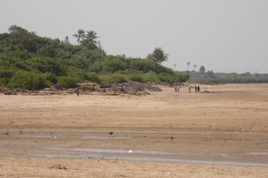 Sandee Madh Island Beach Photo