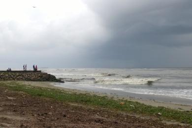 Sandee Fort Kochi Beach