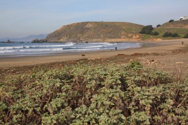 Sandee - Pacifica State Beach