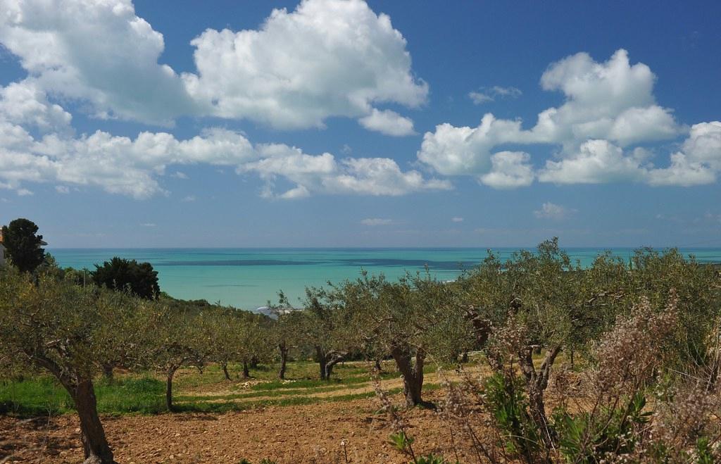 Sandee - Spiaggia Di Timpi Russi