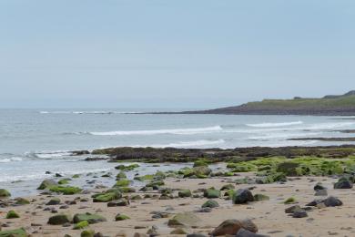 Sandee - Embleton Bay Beach