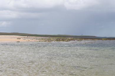 Sandee - Embleton Bay Beach