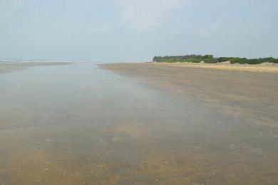 Sandee Tajpur Beach