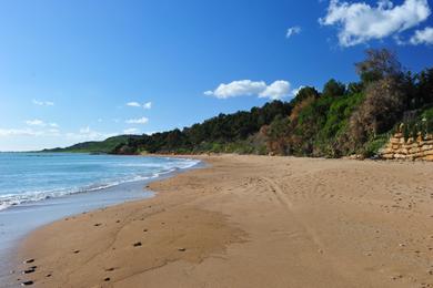 Sandee - Spiaggia Di Timpi Russi