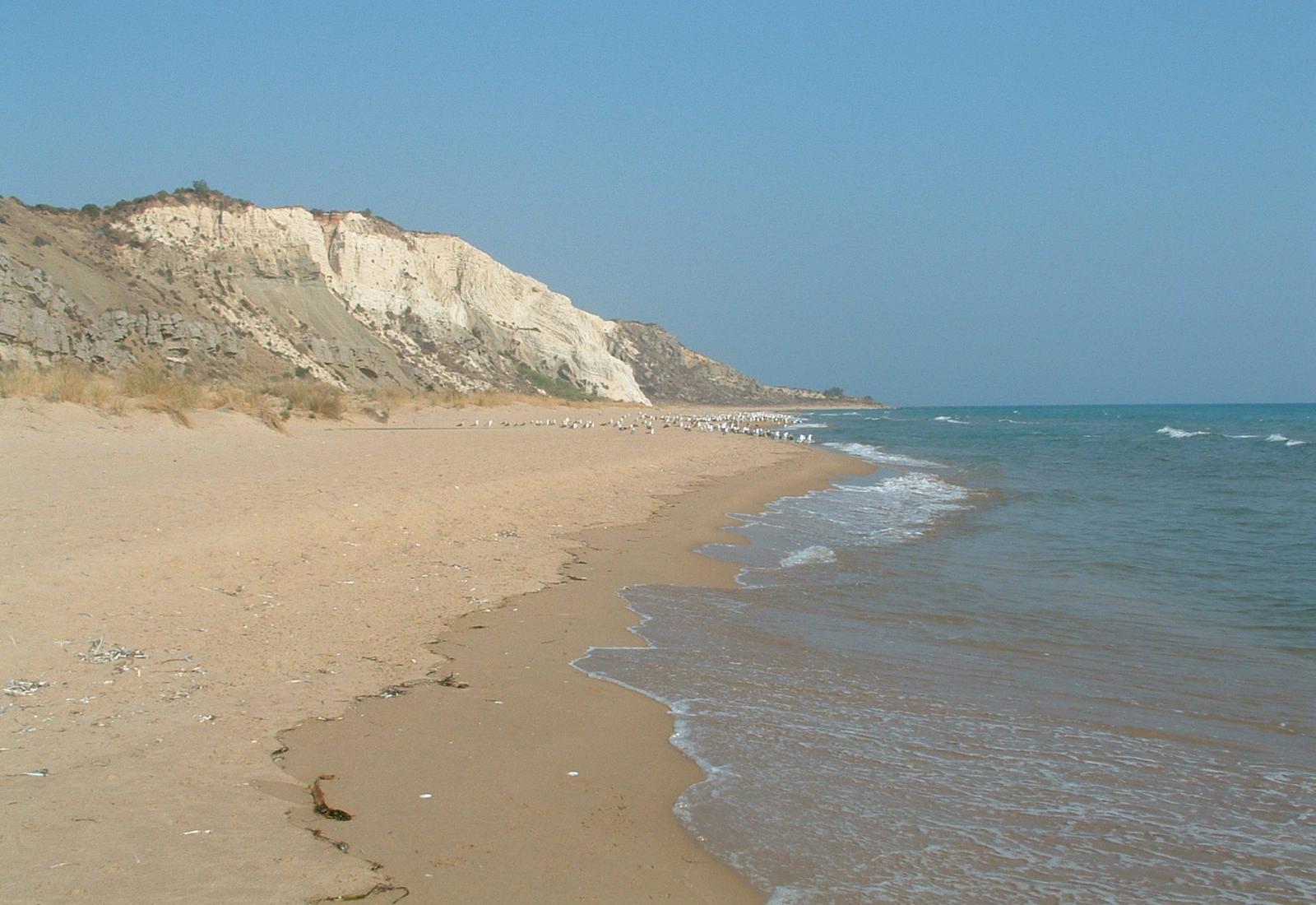 Sandee - Spiaggia Di Torre Salsa