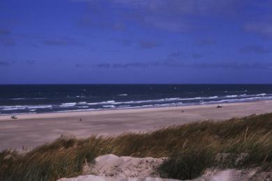 Sandee Blokhus Beach