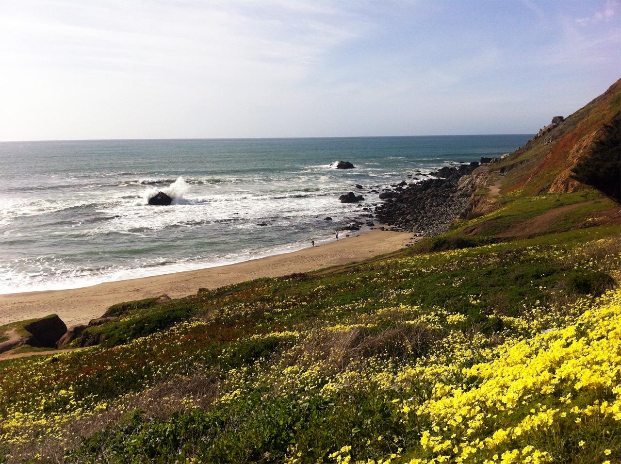 Sandee - Pacifica State Beach