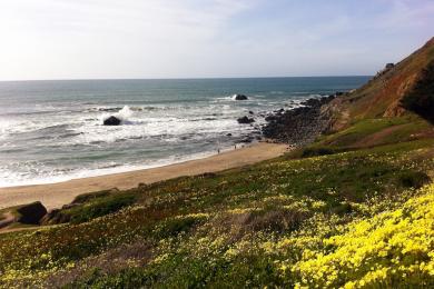 Sandee - Pacifica State Beach