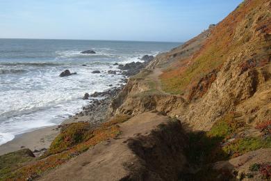 Sandee - Pacifica State Beach