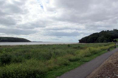 Sandee Llanstephan & Tywi Estuary Beach