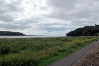 Sandee Llanstephan & Tywi Estuary Beach Photo