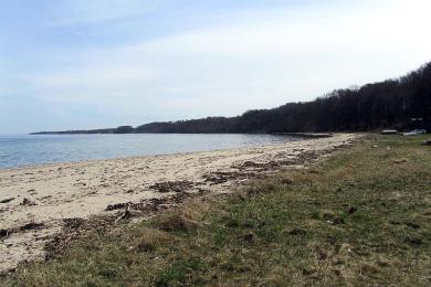 Sandee Bogeskov Beach