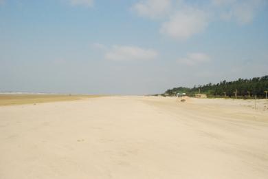 Sandee Mandarmani Beach