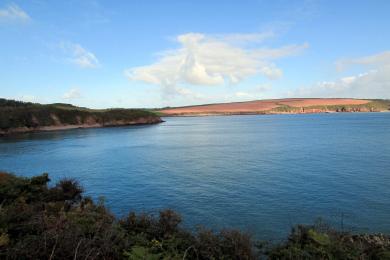 Sandee Sandy Haven Beach Photo