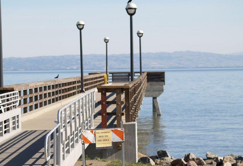 Sandee Oyster Cove Beach Photo