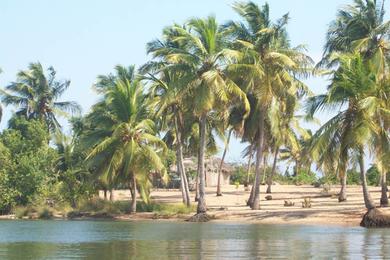 Sandee Ada Foah Beach Photo