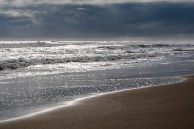 Sandee - Chandrabhaga Beach