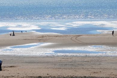 Sandee Seascale Beach Photo