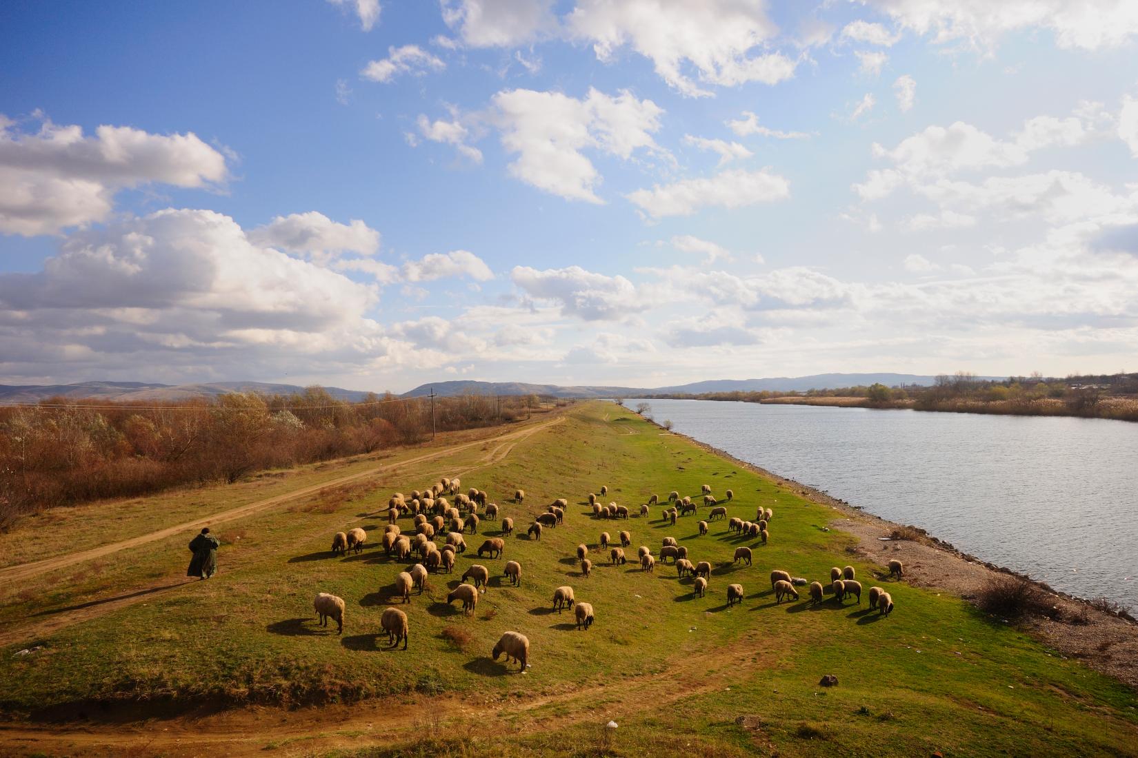 Sandee - HomePage / Vojvodina