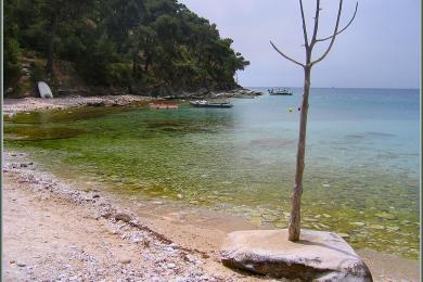 Sandee Aliki Beach