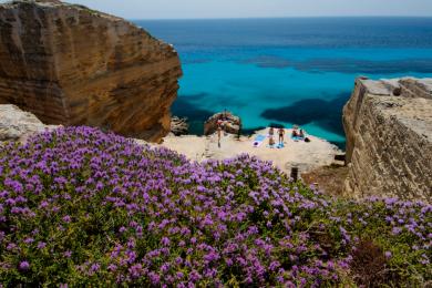 Sandee - Spiaggia Bue Marino