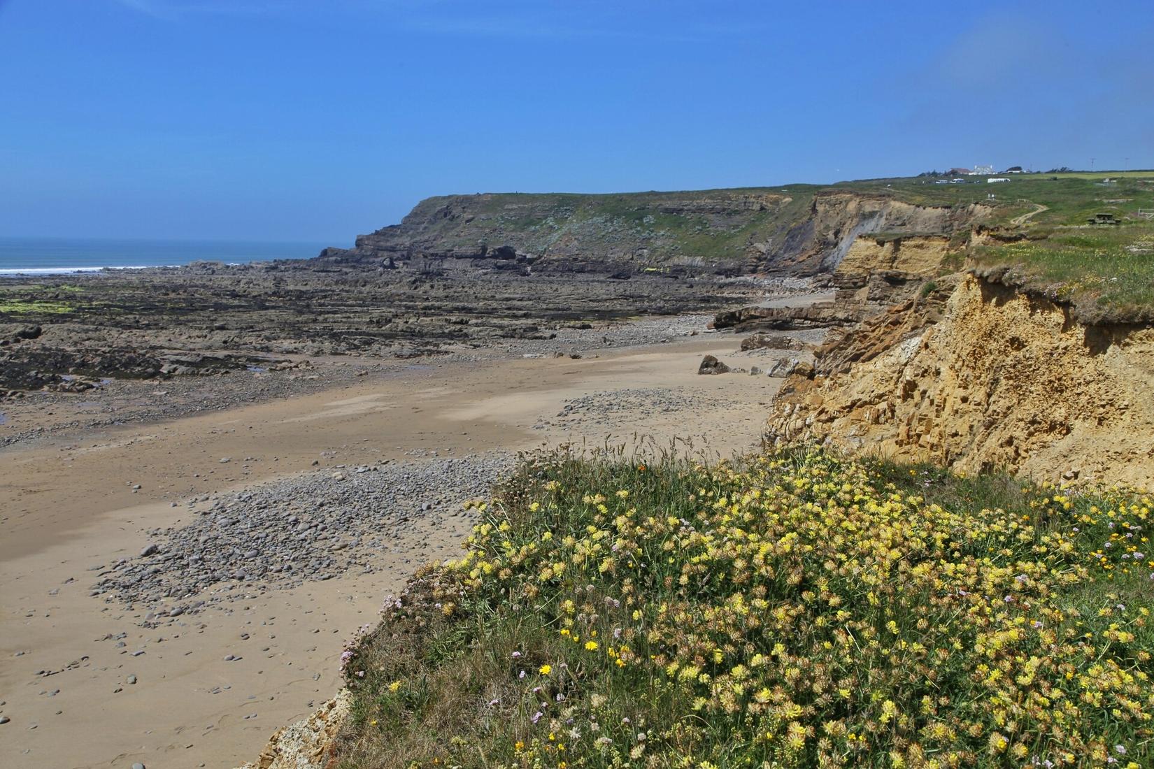 Sandee - Widemouth Bay Beach