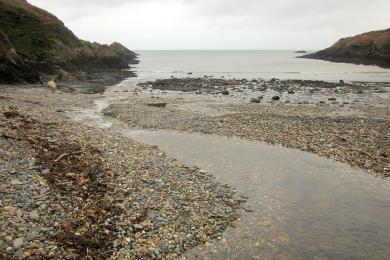 Sandee - Aberbach Beach