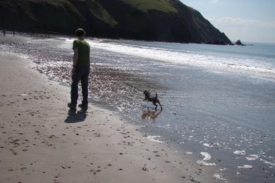 Sandee - Aberystwyth North Beach