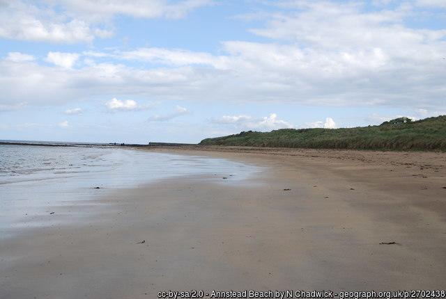 Sandee - Annstead Beach