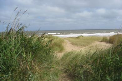 Sandee Anderby Creek Beach Photo