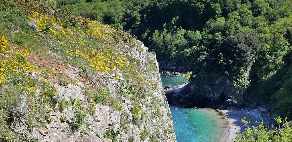 Sandee - Anstey's Cove Beach